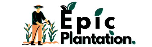 Epic Plantation Header
