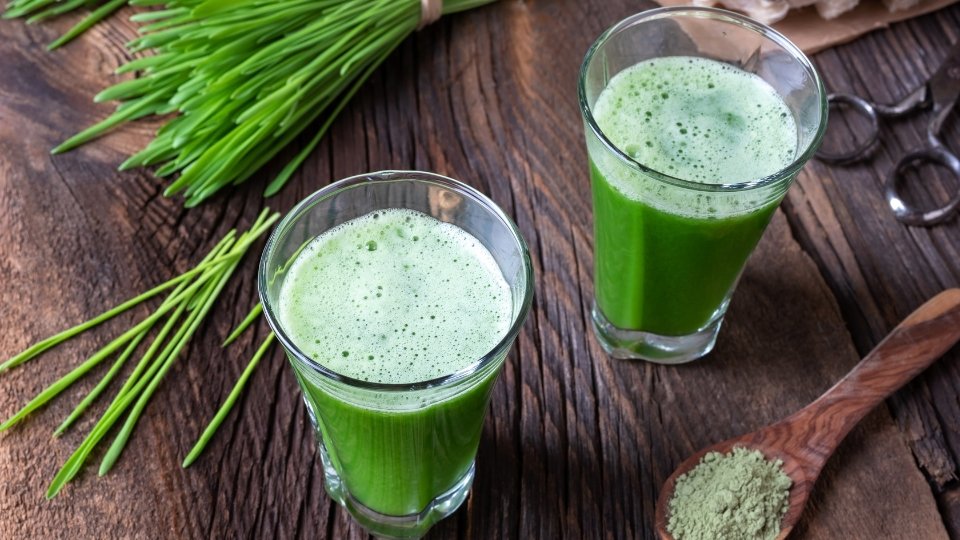 Health Benefits Of Barley Microgreens