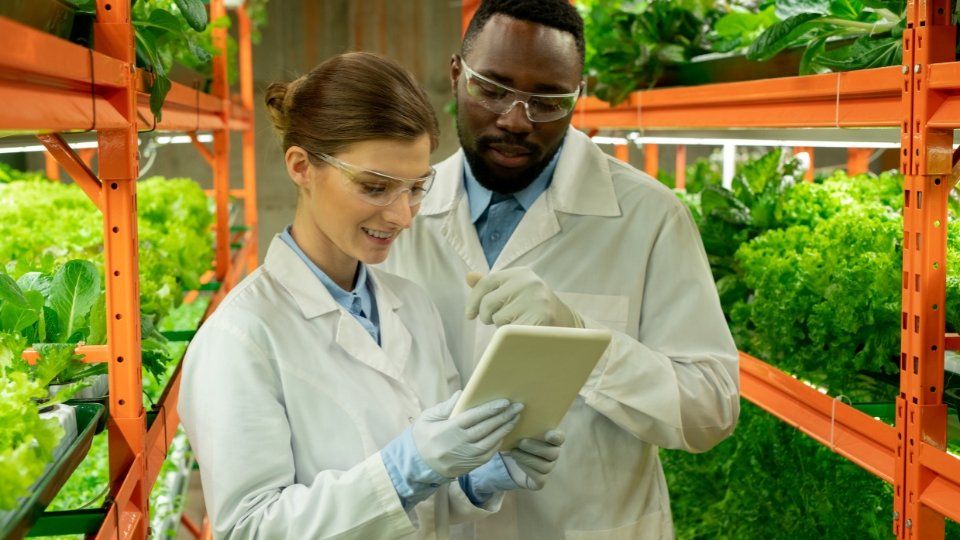 Marketing Your Microgreens Business