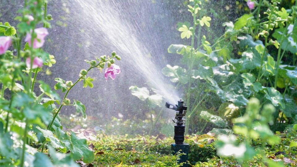 Irrigation Essentials For A Thirst-free Garden