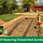 Self Watering Raised Bed Gardens