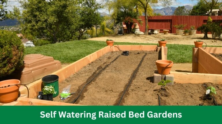 Self Watering Raised Bed Gardens