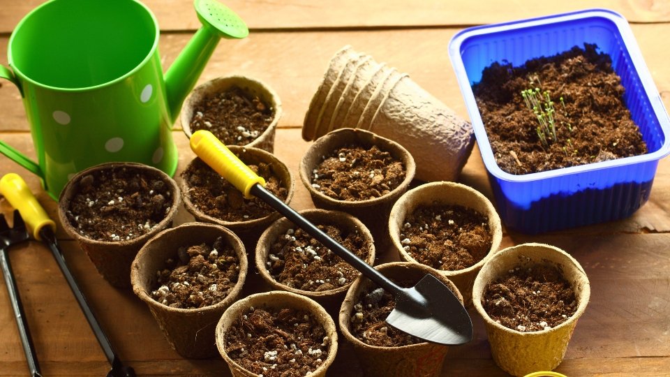 Soil And Plant Selection For Optimal Growth