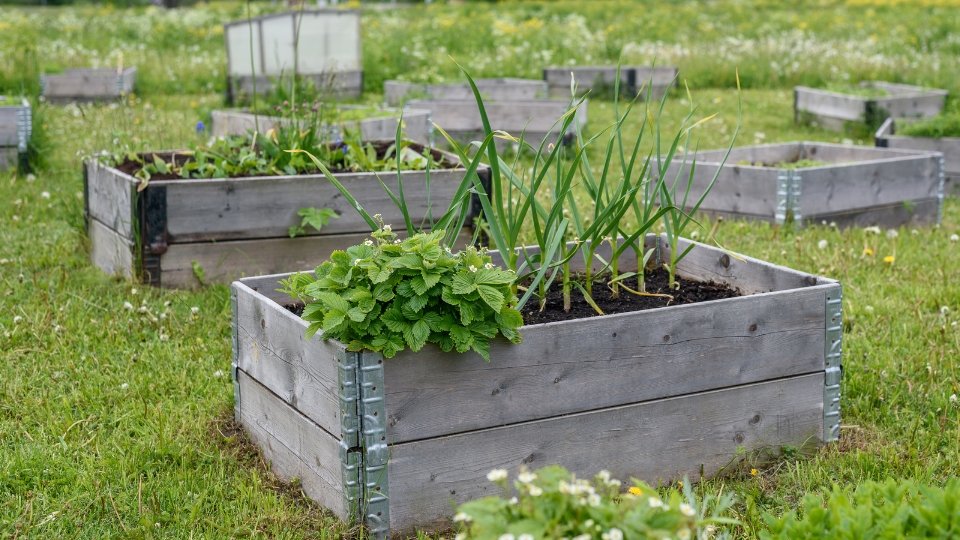 Technological Integration In Modern Gardens