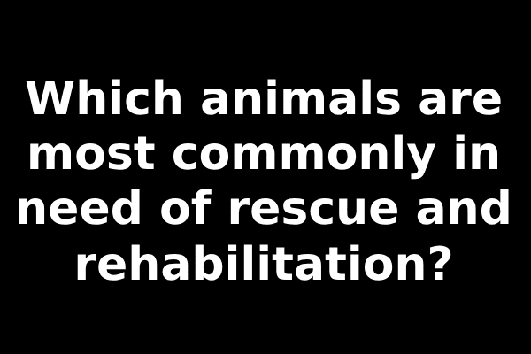 Which animals are most commonly in need of rescue and rehabilitation?