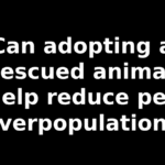 Can adopting a rescued animal help reduce pet overpopulation?