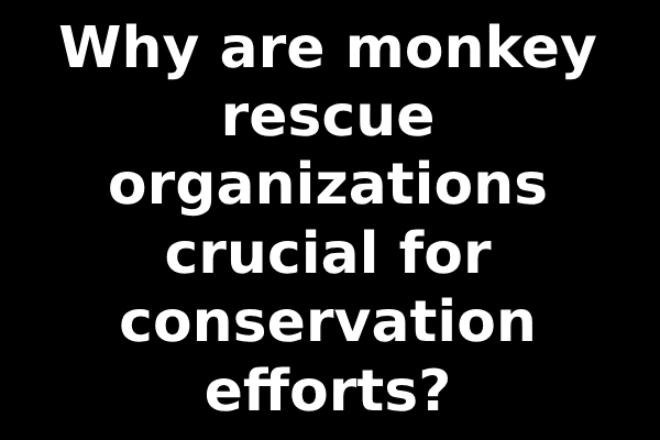 Why are monkey rescue organizations crucial for conservation efforts?