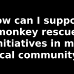 How can I support monkey rescue initiatives in my local community?