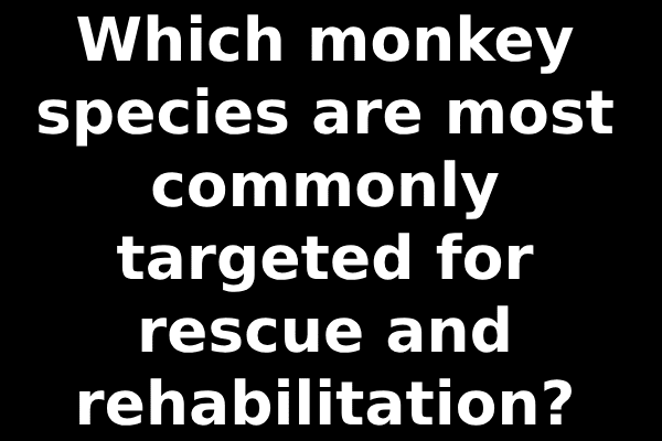 Which monkey species are most commonly targeted for rescue and rehabilitation?