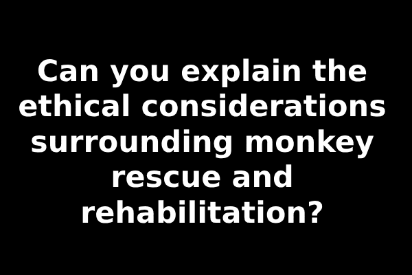 Can you explain the ethical considerations surrounding monkey rescue and rehabilitation?