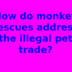 How do monkey rescues address the illegal pet trade?