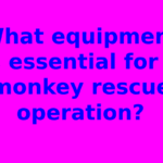 What equipment is essential for a monkey rescue operation?