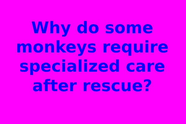 Why do some monkeys require specialized care after rescue?