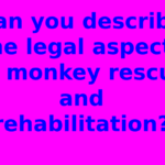 Can you describe the legal aspects of monkey rescue and rehabilitation?
