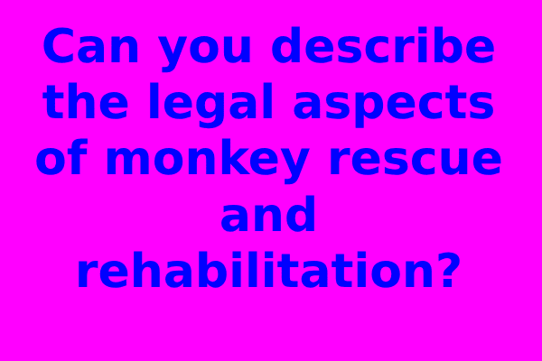 Can you describe the legal aspects of monkey rescue and rehabilitation?