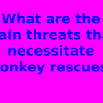 What are the main threats that necessitate monkey rescues?