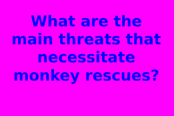 What are the main threats that necessitate monkey rescues?