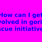 How can I get involved in gorilla rescue initiatives?