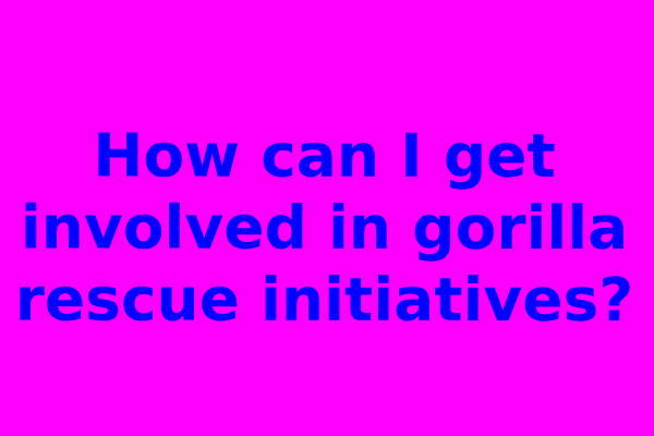 How can I get involved in gorilla rescue initiatives?