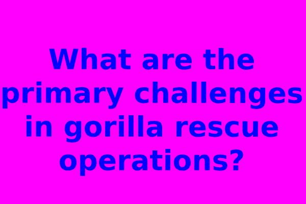 What are the primary challenges in gorilla rescue operations?