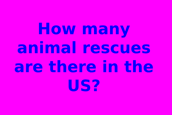 How many animal rescues are there in the US?