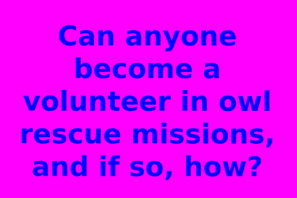 Can anyone become a volunteer in owl rescue missions, and if so, how?