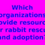 Which organizations provide resources for rabbit rescue and adoption?