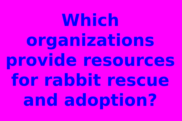 Which organizations provide resources for rabbit rescue and adoption?