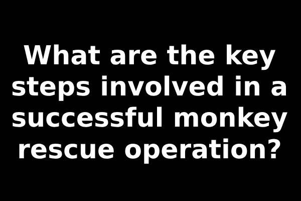 What are the key steps involved in a successful monkey rescue operation?