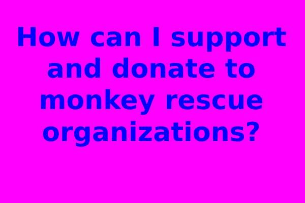 How can I support and donate to monkey rescue organizations?